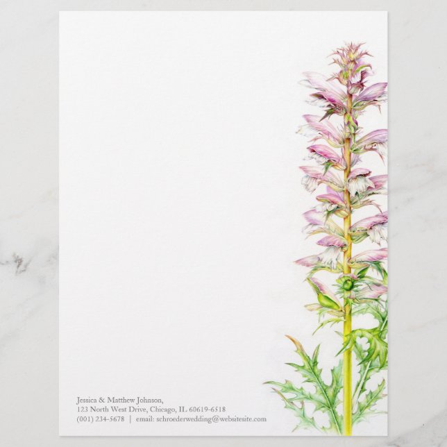 Bear's breech pink green watercolor art letterhead (Front)