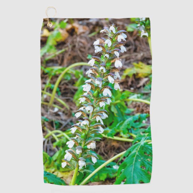 Bear's breeches golf towel (Front)