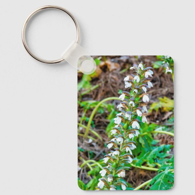 Bear's breeches keychain (Front)