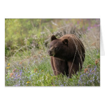 Bears of Alaska - blank card