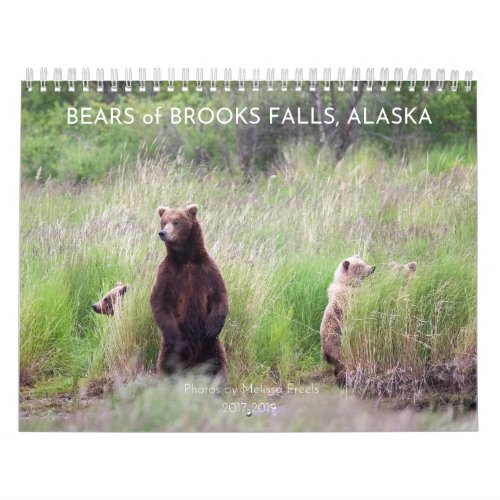 Bears of Brooks Falls _ 2021 Calendar