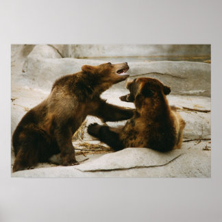 Bears Poster
