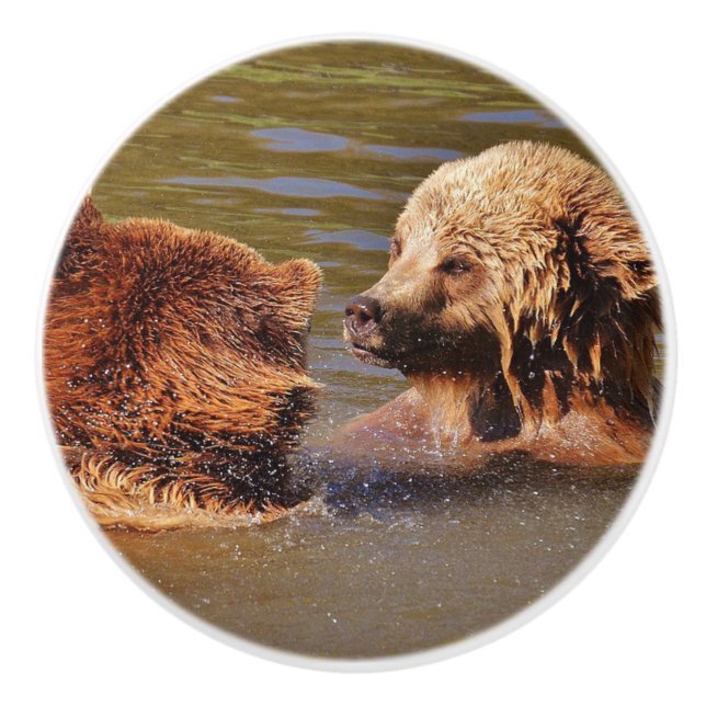 Bears swimming ceramic knob (Front)