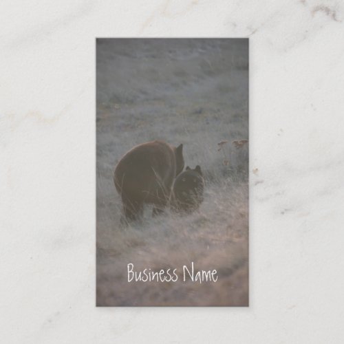 Bears Walking at Sunset Promotional Business Card