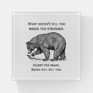 Bears Will Kill You Funny Paperweight