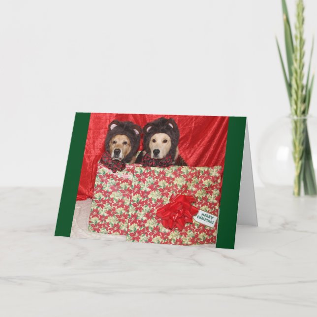 Beary Merry Golden Christmas Holiday Card (Front)