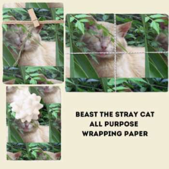Beast The Sweetest Stray Cat-wrapping Paper Sheets by CatsEyeViewGifts at Zazzle