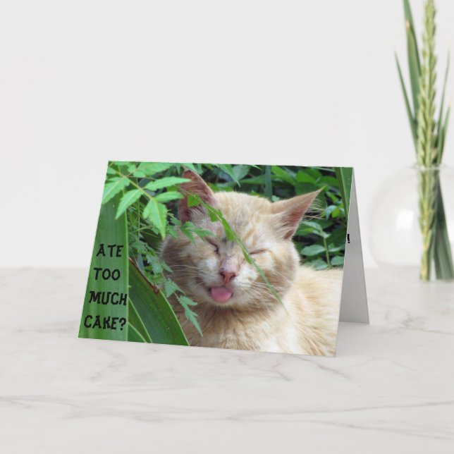 Beast's Birthday Card (Front)