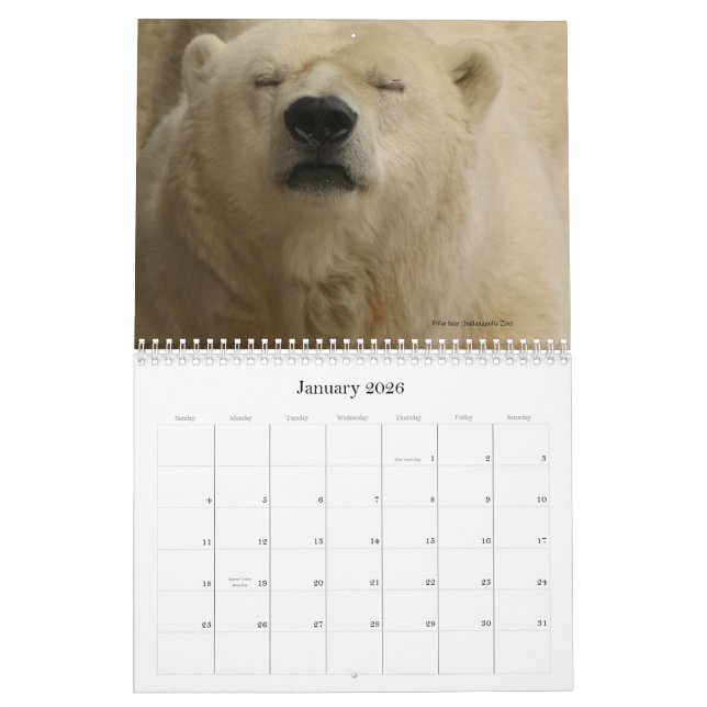 Beasts in a Populous City - calendar (Jan 2026)