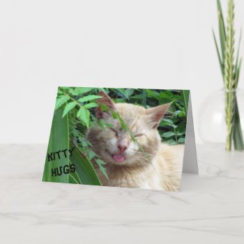 Beast's Kitty Hugs Birthday Card by CatsEyeViewGifts at Zazzle