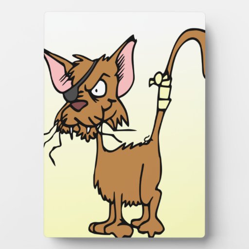 Beat Up Cartoon Cat Plaques | Zazzle