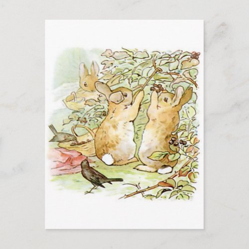 Beatrix Potter Bunnies Raspberry Bush Birds Postcard