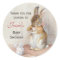 Beatrix Potter Custom Baby Shower Stickers