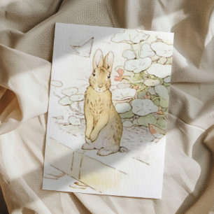 Beatrix Potter from The Tale of Peter the Rabbit Postcard