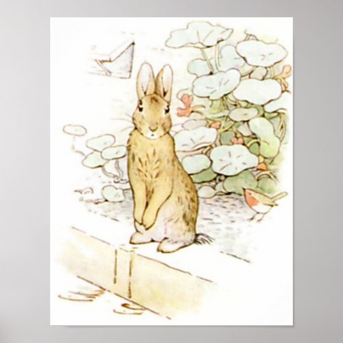 Beatrix Potter from The Tale of Peter the Rabbit Poster