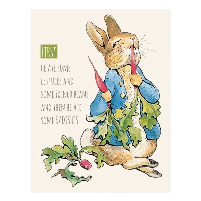 Beatrix Potter Rabbit gorging on radishes CC1115 Postcard