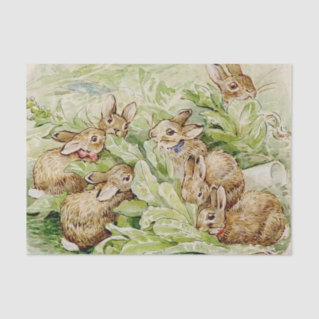 Beatrix Potter Tale of the Flopsy Bunnies Tissue Paper (Front)