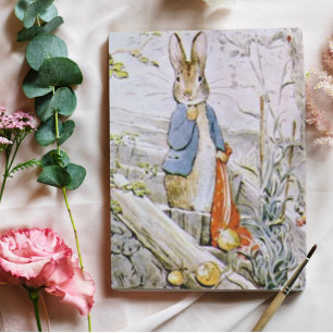 Beatrix Potter The Tale of Benjamin Bunny Peter Postcard