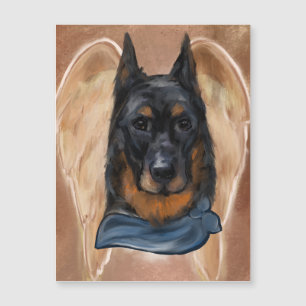 Beauceron