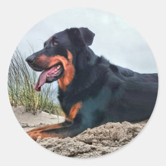 Beauceron Classic Round Sticker