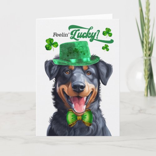 Beauceron Dog Feelin Lucky St Patricks Day Holiday Card