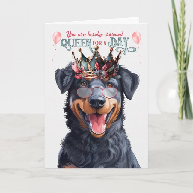 Beauceron Dog Queen for Day Funny Birthday Card (Front)