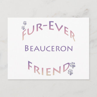 Beauceron Furever Postcard