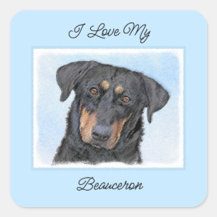 Beauceron Painting - Cute Original Dog Art Square Sticker