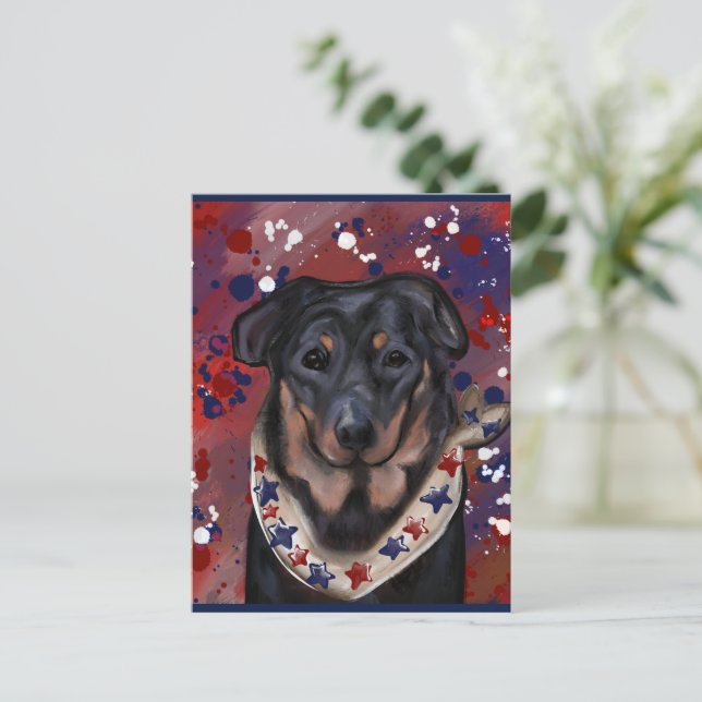 Beauceron            postcard (Standing Front)