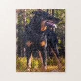 https://rlv.zcache.com/beauceron_shepherd_dog_jigsaw_puzzle-rc946ac8921264724b422a7f0794cd594_ambn9_8byvr_166.jpg