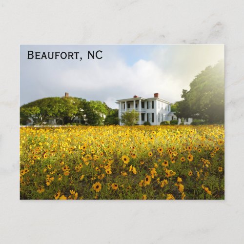 Beaufort North Carolina Historic Home Travel Postcard