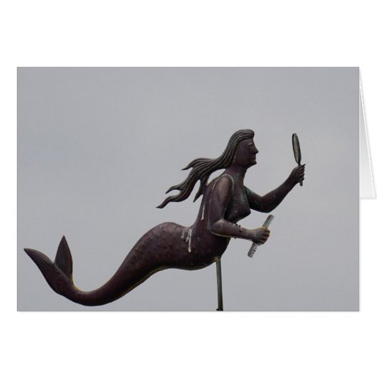 Beaufort Weather Forcast (Front Horizontal)