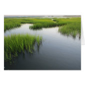 Beaufort's Backyard (Front Horizontal)