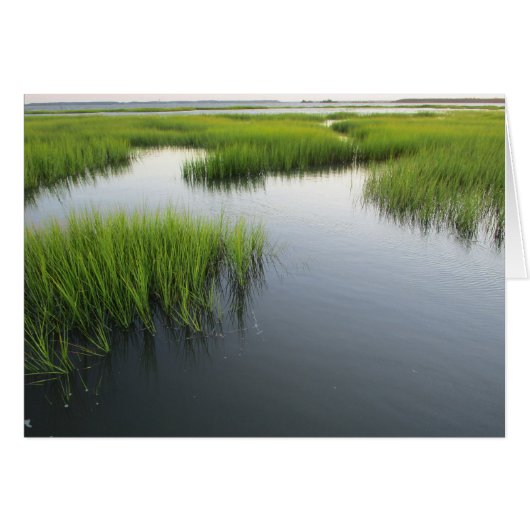 Beaufort's Backyard (Front Horizontal)