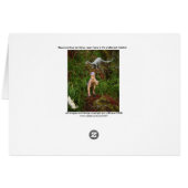 Beaumont Wildlife Cards (Back Horizontal)