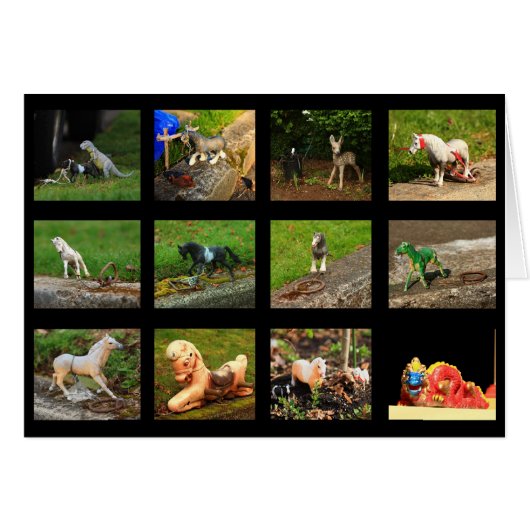 Beaumont Wildlife Cards (Front Horizontal)