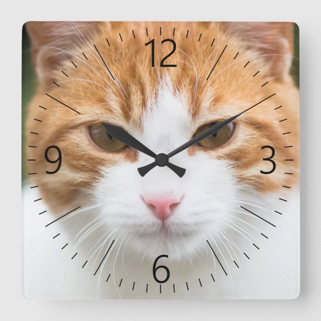 Beaured cat square wall clock (Front)