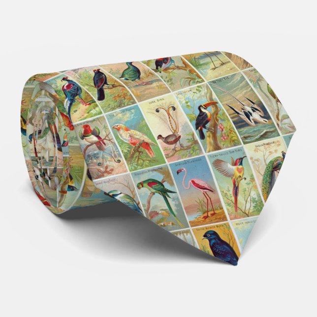 Beautiful 19th-century Tropical Birds Illustration Neck Tie (Rolled)