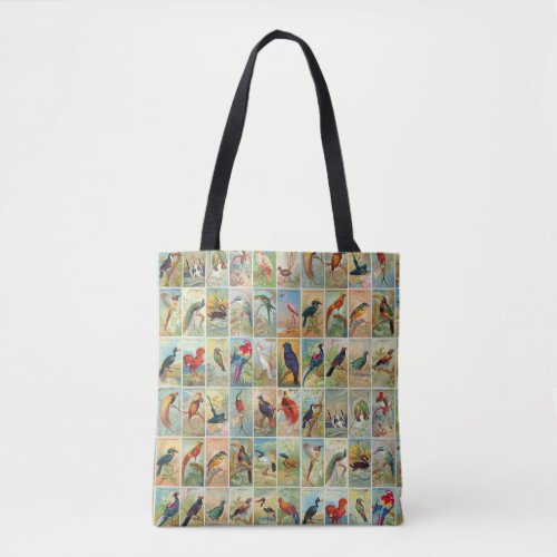 Beautiful 19th_century Tropical Birds Illustration Tote Bag