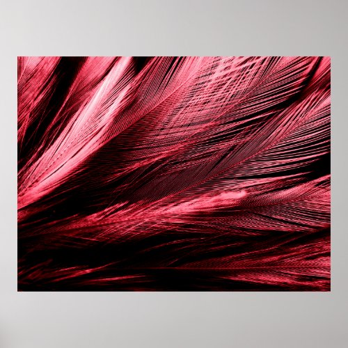Beautiful abstract red feathers on dark background poster