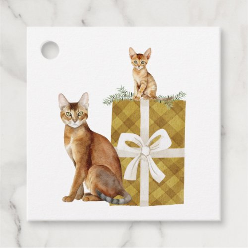 Beautiful Abyssinian Cats on a Package Gift  Tags