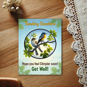 Beautiful Acadian Flycatchers Get Well Postcard