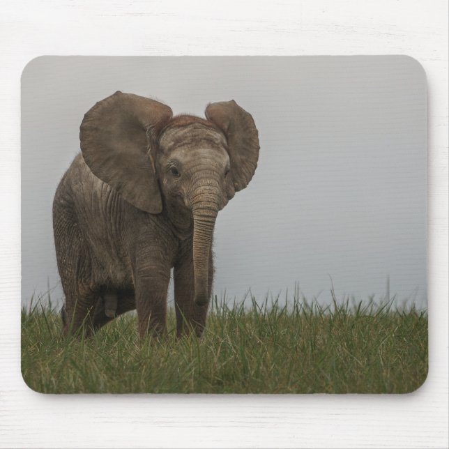 Beautiful African Bush Elephant Mouse Pad (Front)