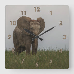 Beautiful African Bush Elephant Square Wall Clock