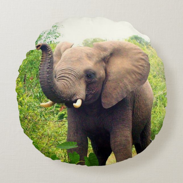 Beautiful African Elephant & Tropical Plants Round Pillow (Front)