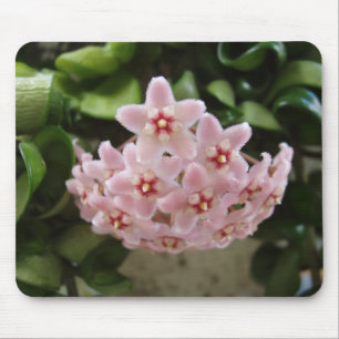 Beautiful African Violet Mouse Pad