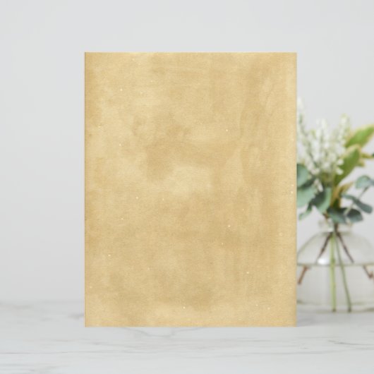 Beautiful Aged Stained Blank Antique Paper (Standing Front)