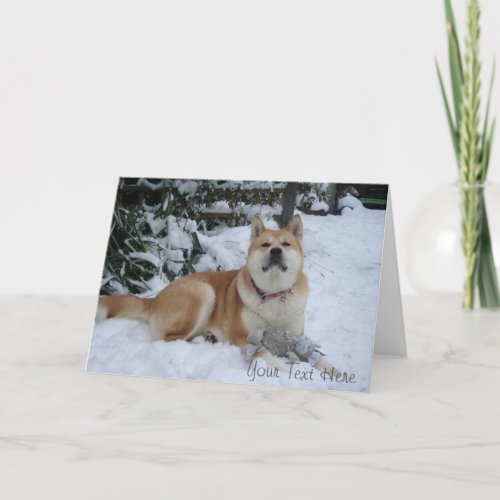 beautiful  akita dog resting in the snow christmas holiday card