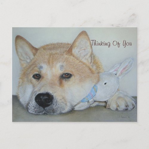 beautiful akita dog with thoughtful expression postcard