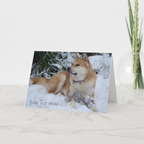 beautiful akita resting in the snow christmas holiday card